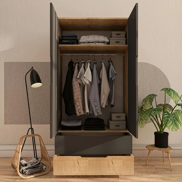 Armoire penderie 2 portes anthracite et effet bois BYRON