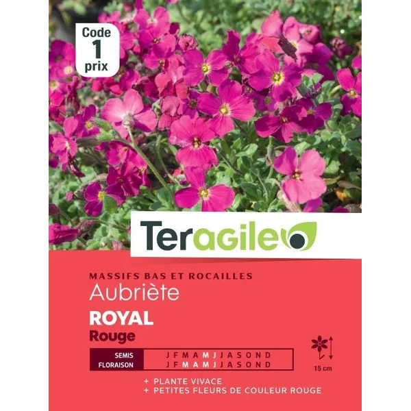 Aubriète Royal Rouge 0,5g TERAGILE