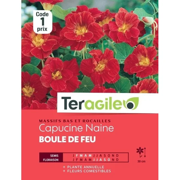 Capucine Naine Boule de Feu 5g TERAGILE