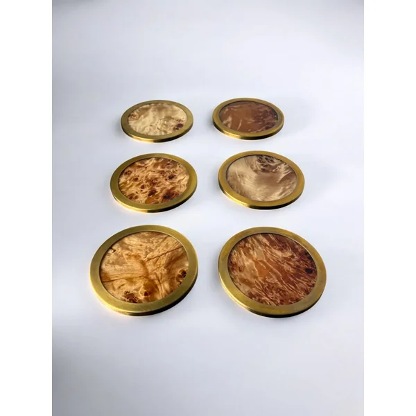 Coasters in Lucite Burl Wood & Brass, set of 6, Italy, 1970s