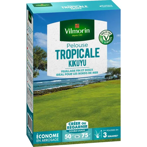 Graines de gazon à semer pelouse tropicale kikuyu Vilmorin - 500 g