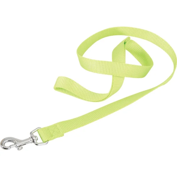 Laisse nylon - 15mm - Longueur 1m - Anis