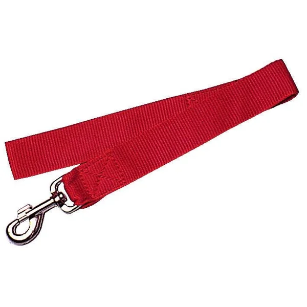 Laisse nylon - 40mm - longueur 60cm - Rouge
