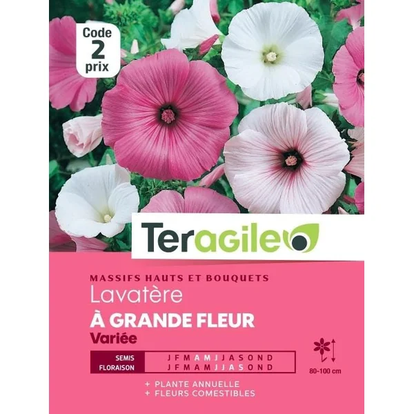 Lavatère à Grande Fleur Variée 3g TERAGILE