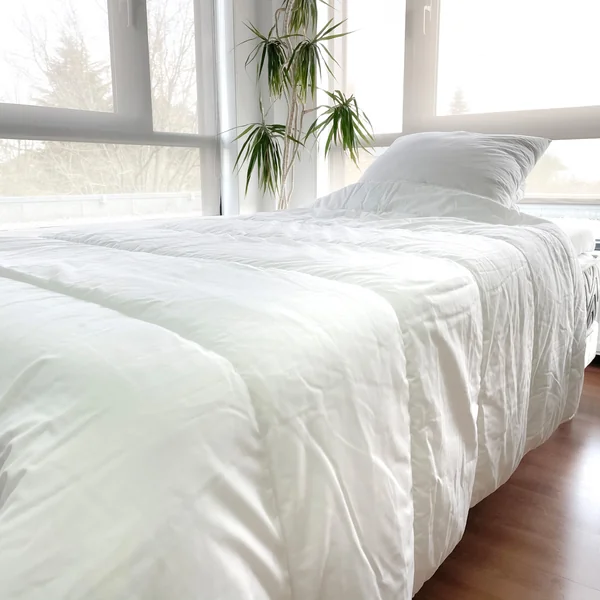 Lot Couette chaude anti-acariens (140 x 200 cm) + 1 Oreiller (60 x 60 cm) Comète Blanche