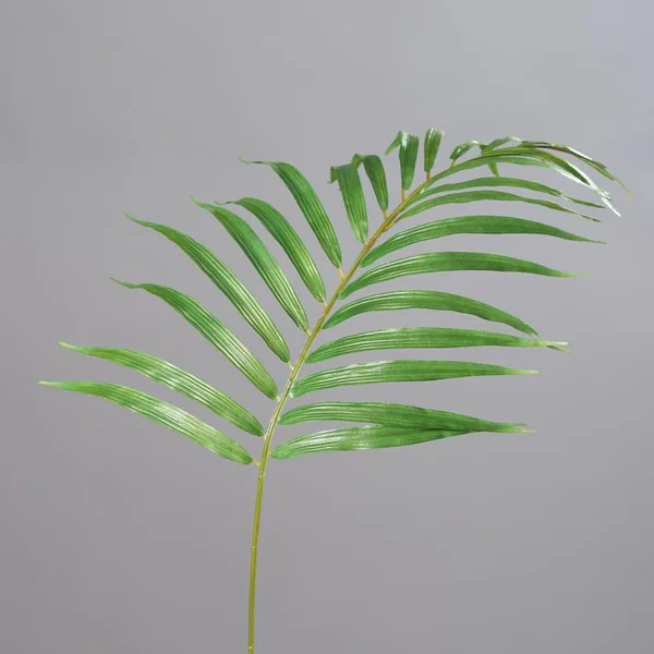 Mascarena palmier artificiel feuille verte - 81 cm