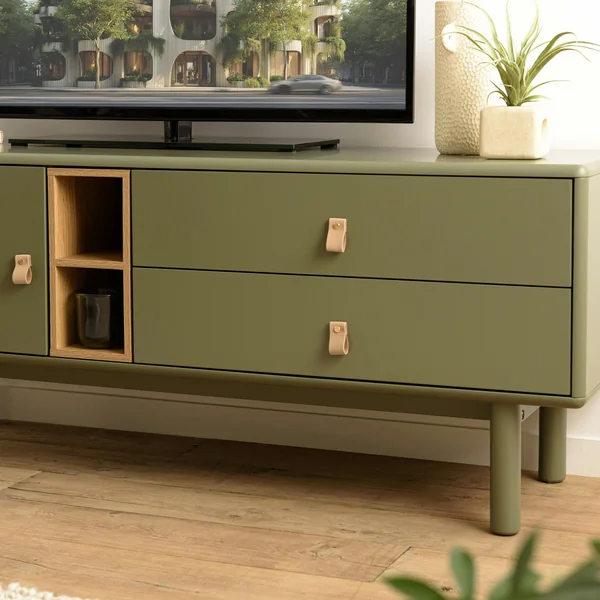 Meuble TV 2 tiroirs 1 porte bois vert nature GUILIN