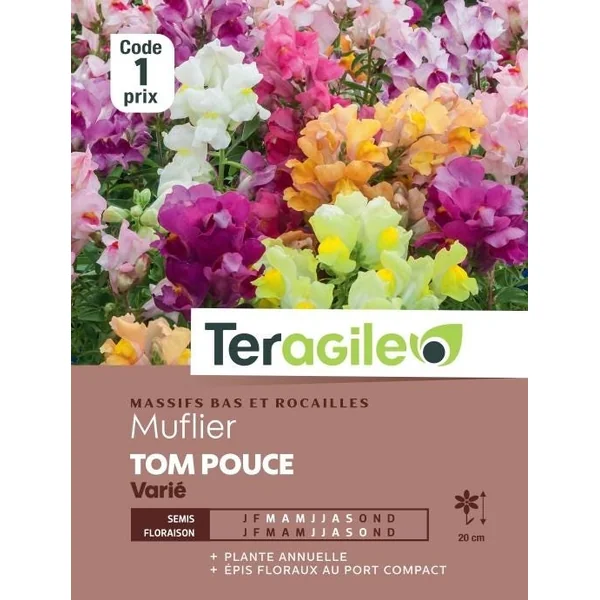 Muflier Tom Pouce Varié 0,8g TERAGILE