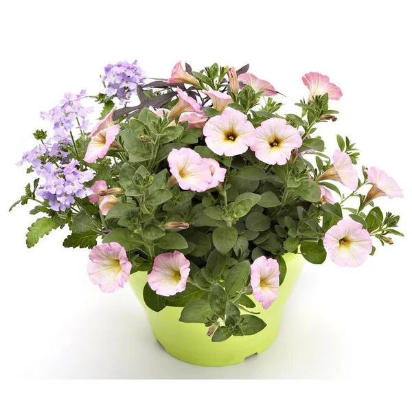 Mélange confetti - Le pot de 5 litres