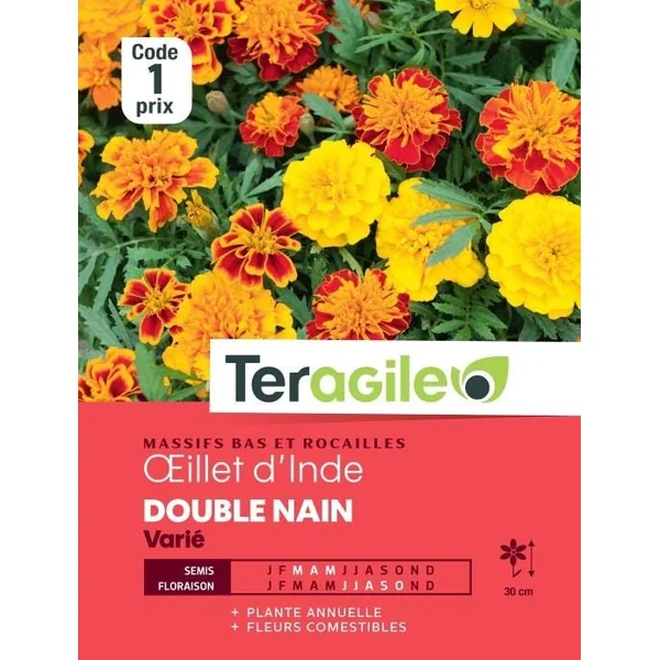 Oeillet d'Inde Double Nain Varié 1g TERAGILE