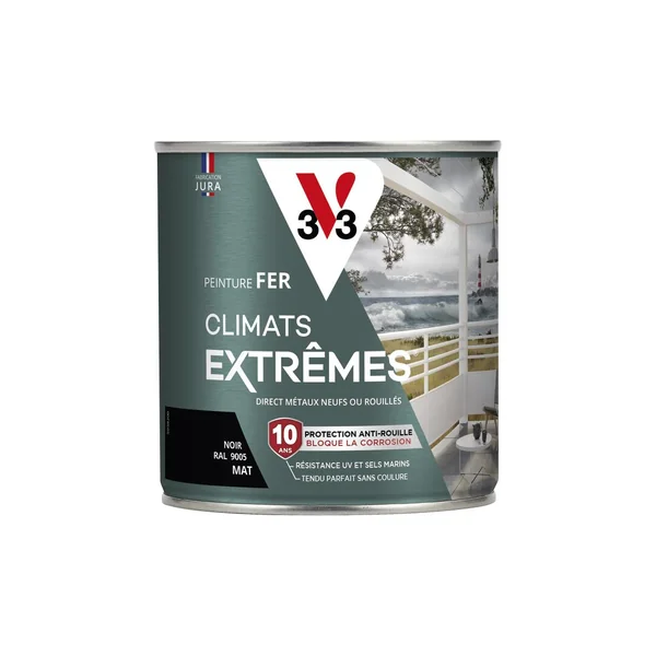 Peinture Fer Climats Extrêmes Mat Noir 0,5L