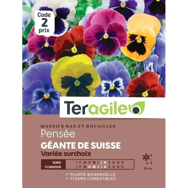 Pensée Géante de Suisse Variée Surchoix 0,5g TERAGILE