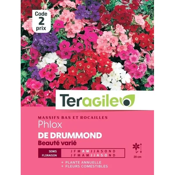 Phlox de Drummond Beauté Varié 0,8g TERAGILE