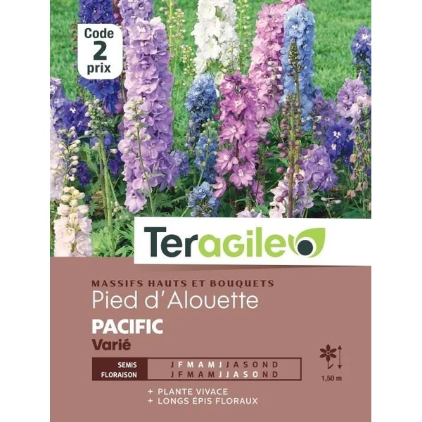 Pied d'Alouette Pacific Varié 0,8g TERAGILE