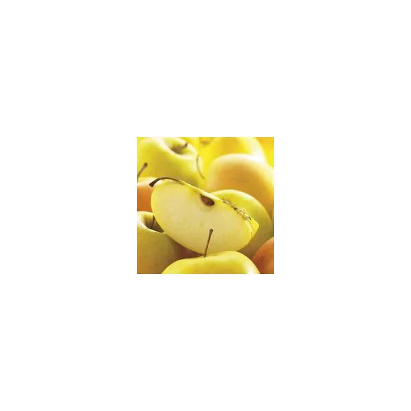Pommier Tentation® Delblush. Le pot de 15 litres forme 1/2 tige