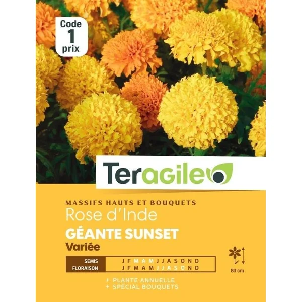 Rose d'Inde Géante Sunset Variée 2g TERAGILE