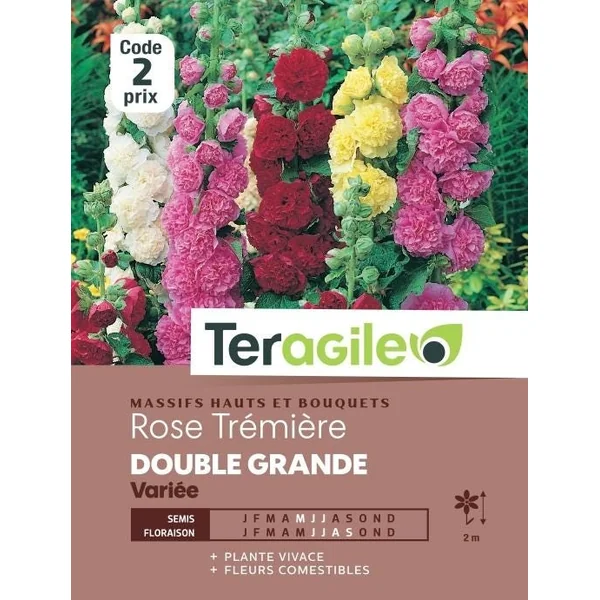 Rose Trémière Double Grande Variée 2g TERAGILE