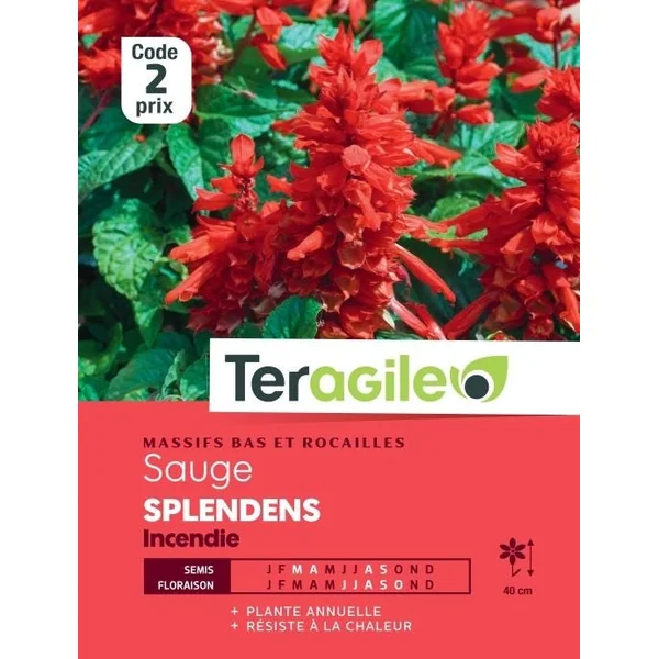 Sauge Splendens Incendie 0,5g TERAGILE