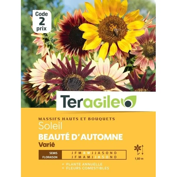 Soleil Beauté d'Automne Varié 4g TERAGILE