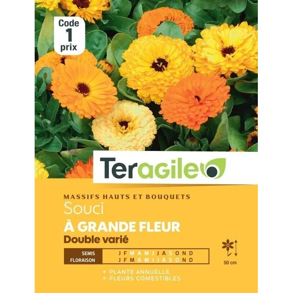 Souci à Grande Fleur Double Varié 3g TERAGILE